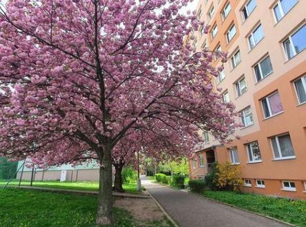 Litoměřice - prodej bytu 2kk v osobním vlastnictví